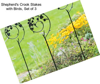 Shepherd\'s Crook Stakes with Birds, Set of 3