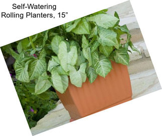 Self-Watering Rolling Planters, 15”