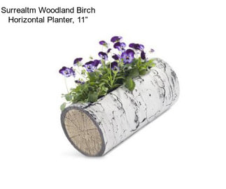 Surrealtm Woodland Birch Horizontal Planter, 11”