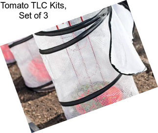 Tomato TLC Kits, Set of 3