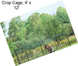 Crop Cage, 4\' x 12\'