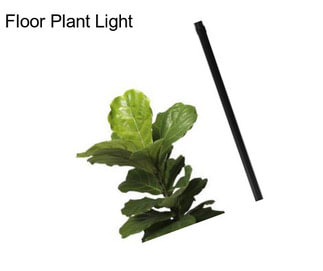 Floor Plant Light