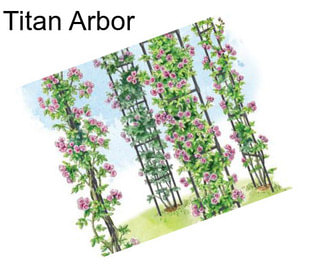 Titan Arbor