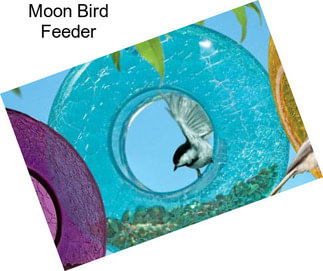 Moon Bird Feeder