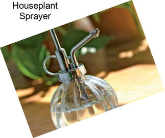 Houseplant Sprayer