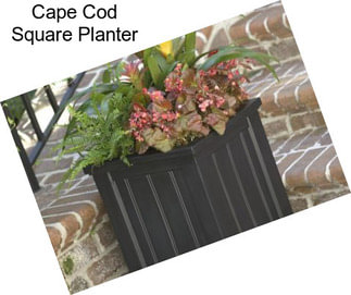 Cape Cod Square Planter