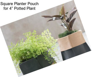 Square Planter Pouch for 4” Potted Plant