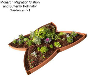 Monarch Migration Station and Butterfly Pollinator Garden 2-in-1