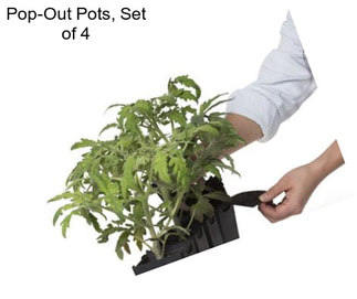 Pop-Out Pots, Set of 4