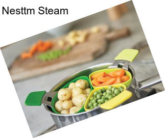 Nesttm Steam