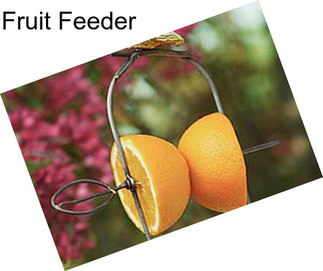 Fruit Feeder