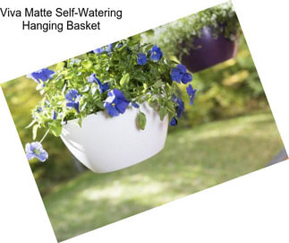 Viva Matte Self-Watering Hanging Basket