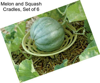 Melon and Squash Cradles, Set of 6