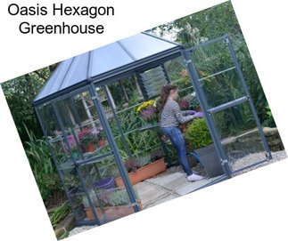 Oasis Hexagon Greenhouse