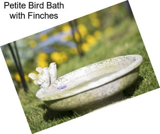 Petite Bird Bath with Finches