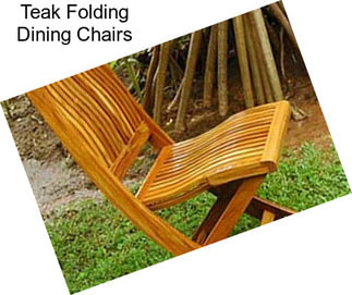 Teak Folding Dining Chairs