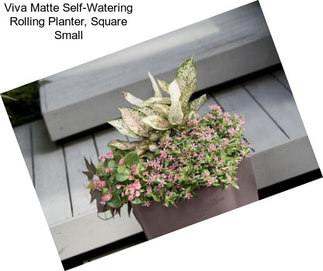 Viva Matte Self-Watering Rolling Planter, Square Small