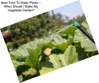 Best Time To Water Plants – When Should I Water My Vegetable Garden?