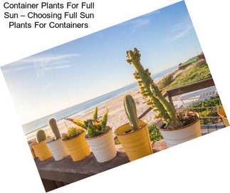Container Plants For Full Sun – Choosing Full Sun Plants For Containers