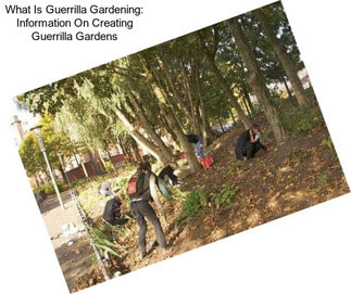 What Is Guerrilla Gardening: Information On Creating Guerrilla Gardens
