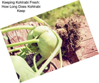 Keeping Kohlrabi Fresh: How Long Does Kohlrabi Keep