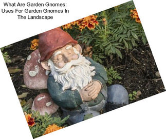What Are Garden Gnomes: Uses For Garden Gnomes In The Landscape