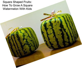 Square Shaped Fruits: How To Grow A Square Watermelon With Kids