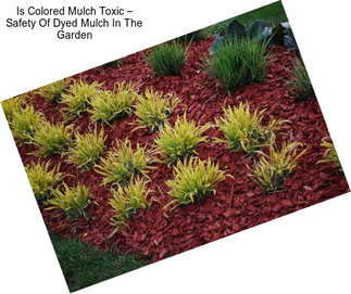 Is Colored Mulch Toxic – Safety Of Dyed Mulch In The Garden