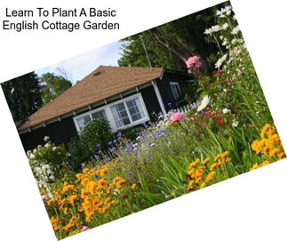 Learn To Plant A Basic English Cottage Garden