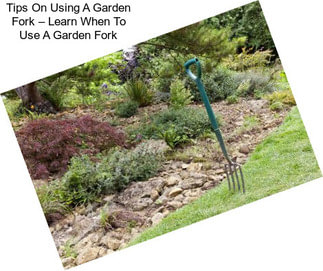 Tips On Using A Garden Fork – Learn When To Use A Garden Fork