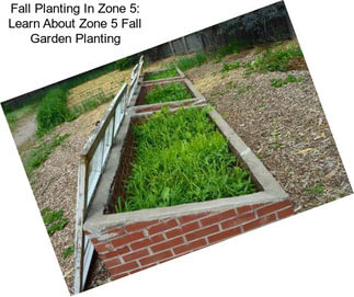 Fall Planting In Zone 5: Learn About Zone 5 Fall Garden Planting