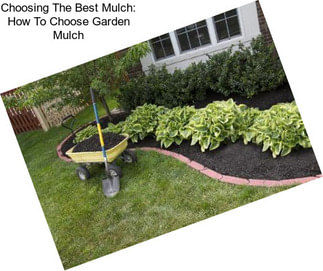 Choosing The Best Mulch: How To Choose Garden Mulch