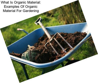 What Is Organic Material: Examples Of Organic Material For Gardening