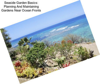 Seaside Garden Basics: Planning And Maintaining Gardens Near Ocean Fronts