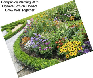Companion Planting With Flowers: Which Flowers Grow Well Together