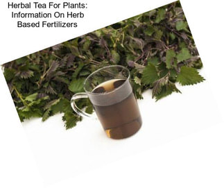 Herbal Tea For Plants: Information On Herb Based Fertilizers