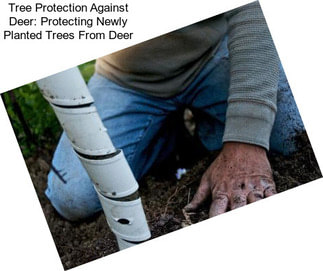 Tree Protection Against Deer: Protecting Newly Planted Trees From Deer