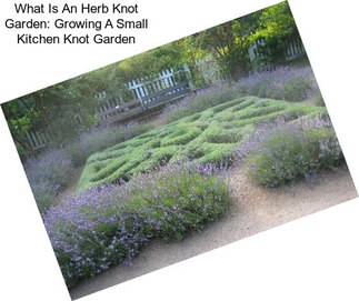 What Is An Herb Knot Garden: Growing A Small Kitchen Knot Garden
