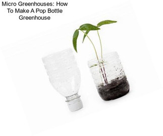 Micro Greenhouses: How To Make A Pop Bottle Greenhouse