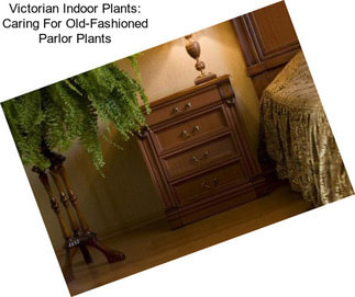 Victorian Indoor Plants: Caring For Old-Fashioned Parlor Plants