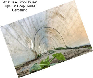 What Is A Hoop House: Tips On Hoop House Gardening