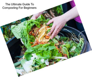 The Ultimate Guide To Composting For Beginners