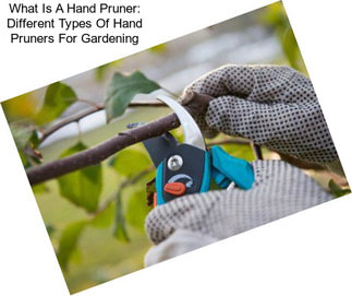 What Is A Hand Pruner: Different Types Of Hand Pruners For Gardening