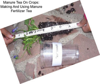Manure Tea On Crops: Making And Using Manure Fertilizer Tea