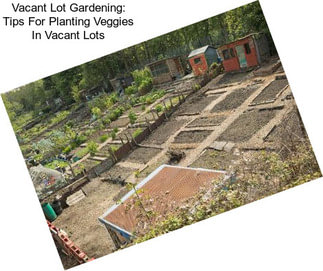 Vacant Lot Gardening: Tips For Planting Veggies In Vacant Lots