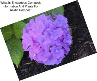 What Is Ericaceous Compost: Information And Plants For Acidic Compost