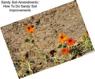Sandy Soil Amendments: How To Do Sandy Soil Improvements