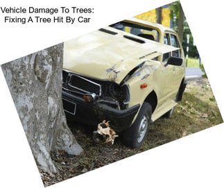 Vehicle Damage To Trees: Fixing A Tree Hit By Car