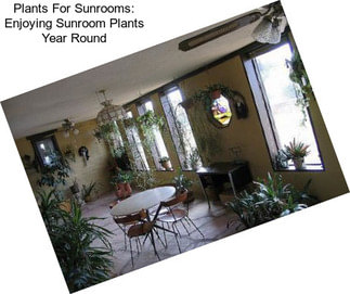 Plants For Sunrooms: Enjoying Sunroom Plants Year Round