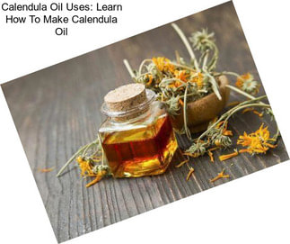 Calendula Oil Uses: Learn How To Make Calendula Oil